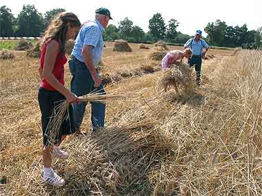 Zwei Besuchern wird das Garbenbinden beigebracht